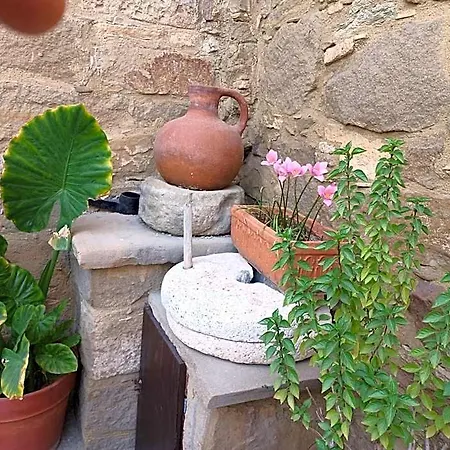 Niovi House 4*