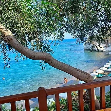 Niovi House 4* Tochni